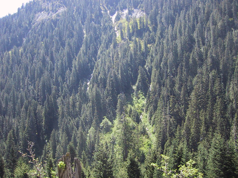 IMG_2384.JPG