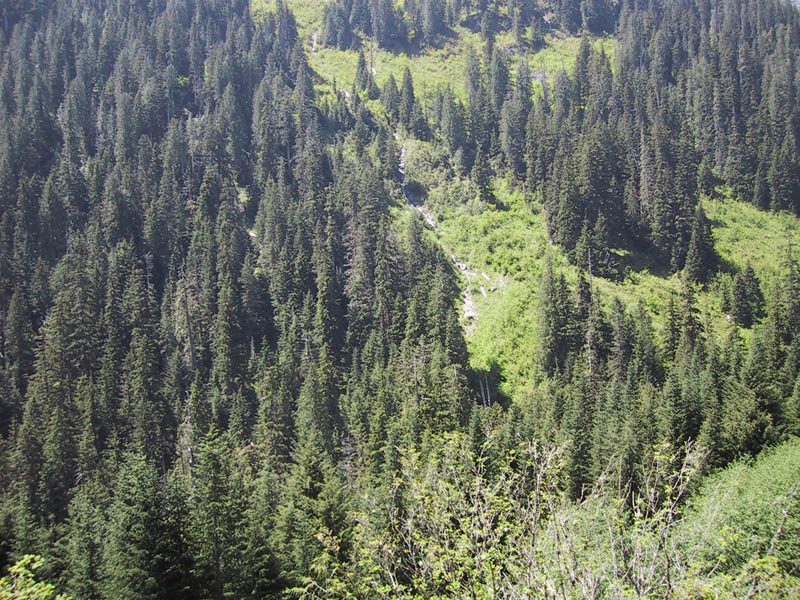IMG_2385.JPG