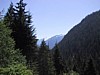 IMG_2382.JPG