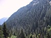 IMG_2383.JPG