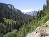 IMG_2387.JPG