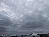 IMG_2443.JPG