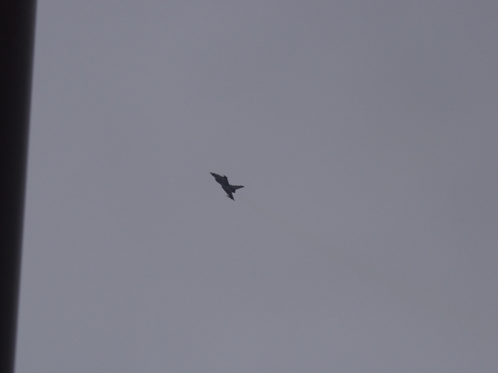 P5251294.JPG
