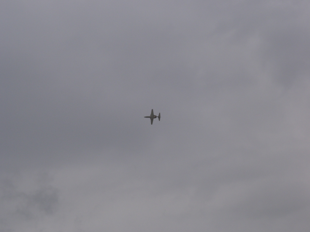 P5251297.JPG