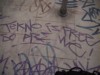 DSC00737.JPG