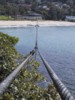 Shark net.jpg
