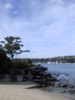 The_Island Balgolah.jpg