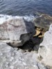 more rocks.jpg