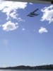 plane at rosebay.jpg