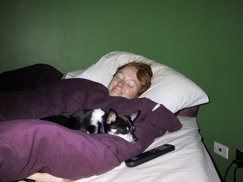 sammy bubba sleeping.jpg