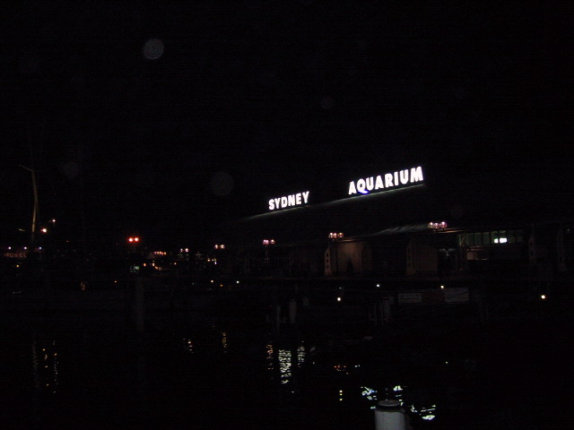 Aquarium at night.jpg