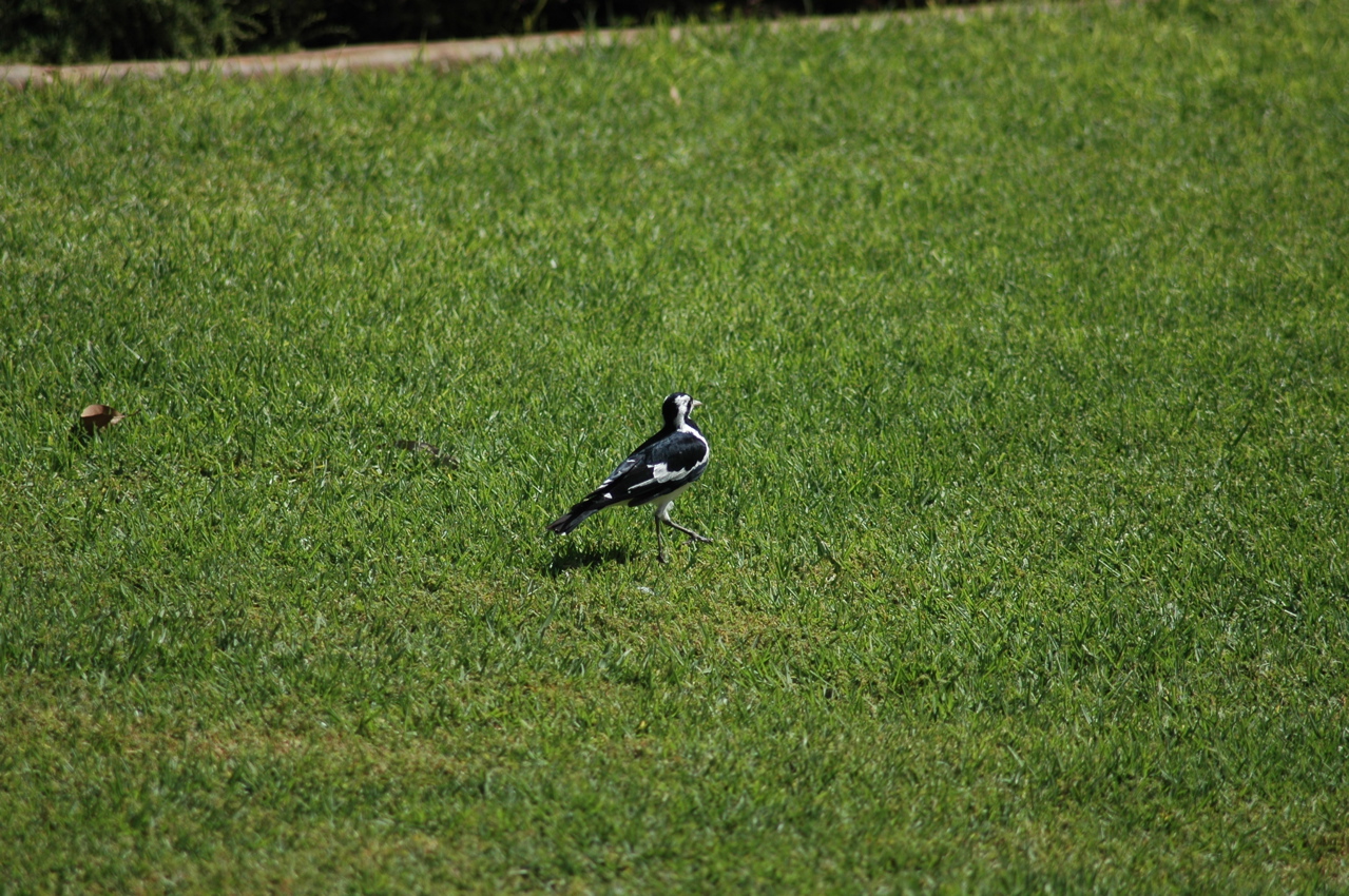DSC_4416