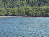 MVI_6728