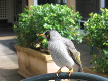 IMG_0003