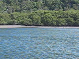 MVI_6728