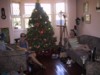 Decorated-Pine_tree-@-sammy's.jpg