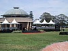 IMG_1593.JPG