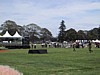 IMG_1594.JPG