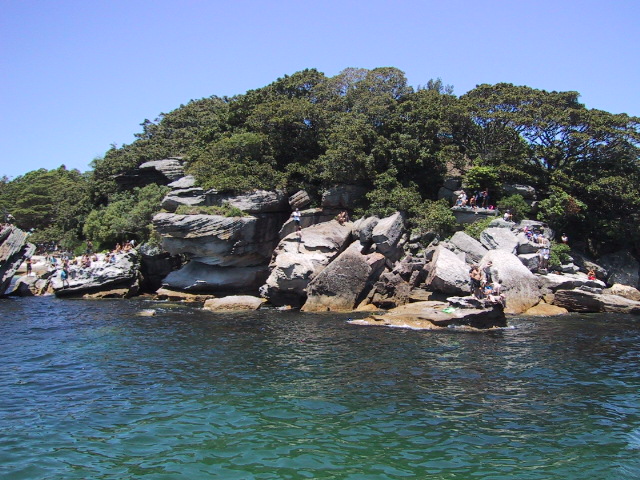 CampCove-piont.jpg