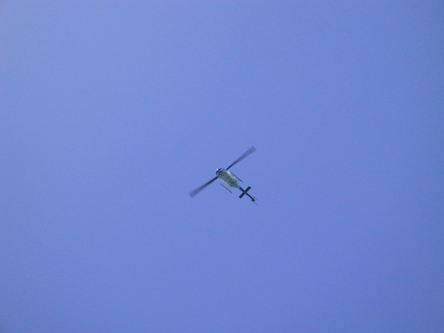 IMG_1297.JPG