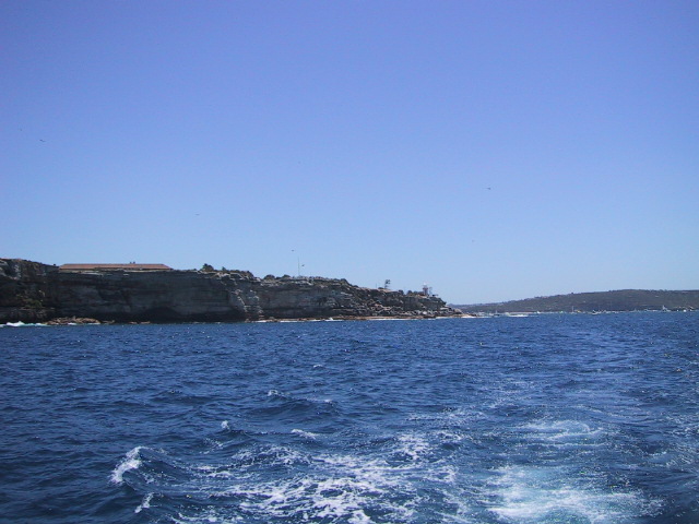 IMG_1305.JPG