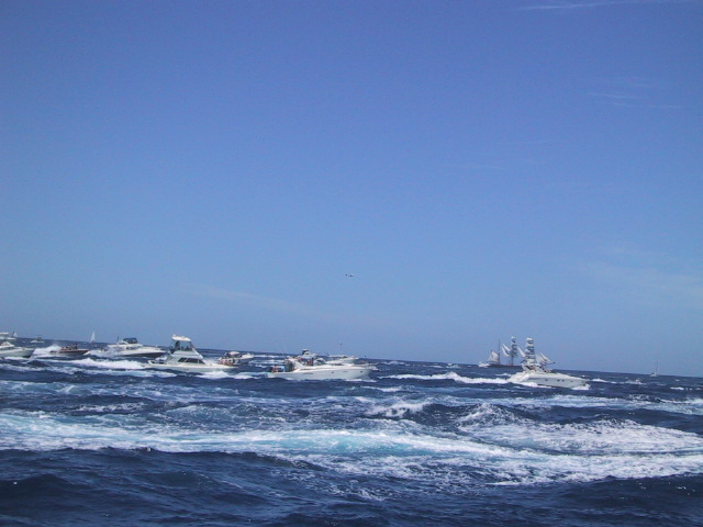 IMG_1319.JPG