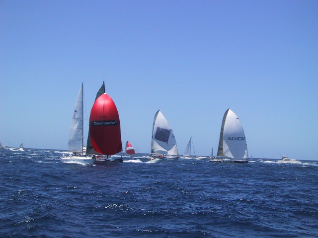 IMG_1336.JPG