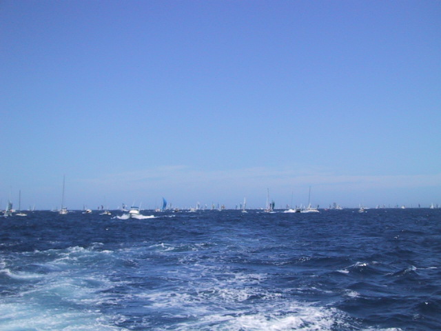 IMG_1343.JPG