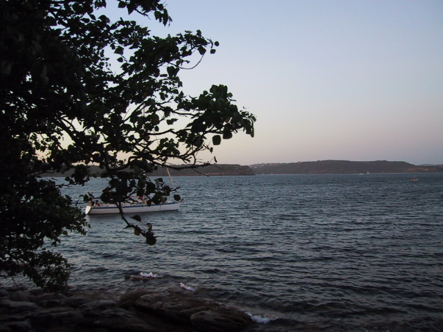 IMG_1349.JPG