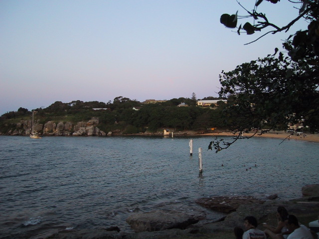 IMG_1350.JPG