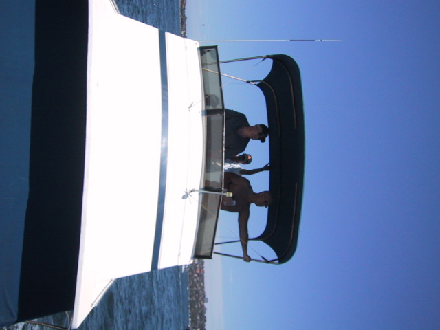 Skipper+1.jpg