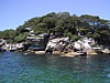 CampCove-piont.jpg