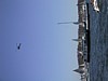 IMG_1281.JPG