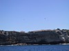 IMG_1303.JPG