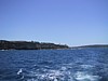 IMG_1305.JPG