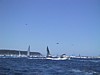 IMG_1309.JPG