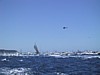 IMG_1310.JPG