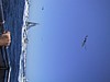 IMG_1314.JPG