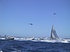 IMG_1315.JPG