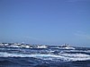 IMG_1319.JPG
