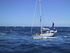 IMG_1334.JPG