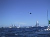 IMG_1335.JPG