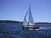 IMG_1342.JPG