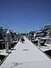 RMYC_marina.jpg