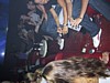 IMG_1373.JPG