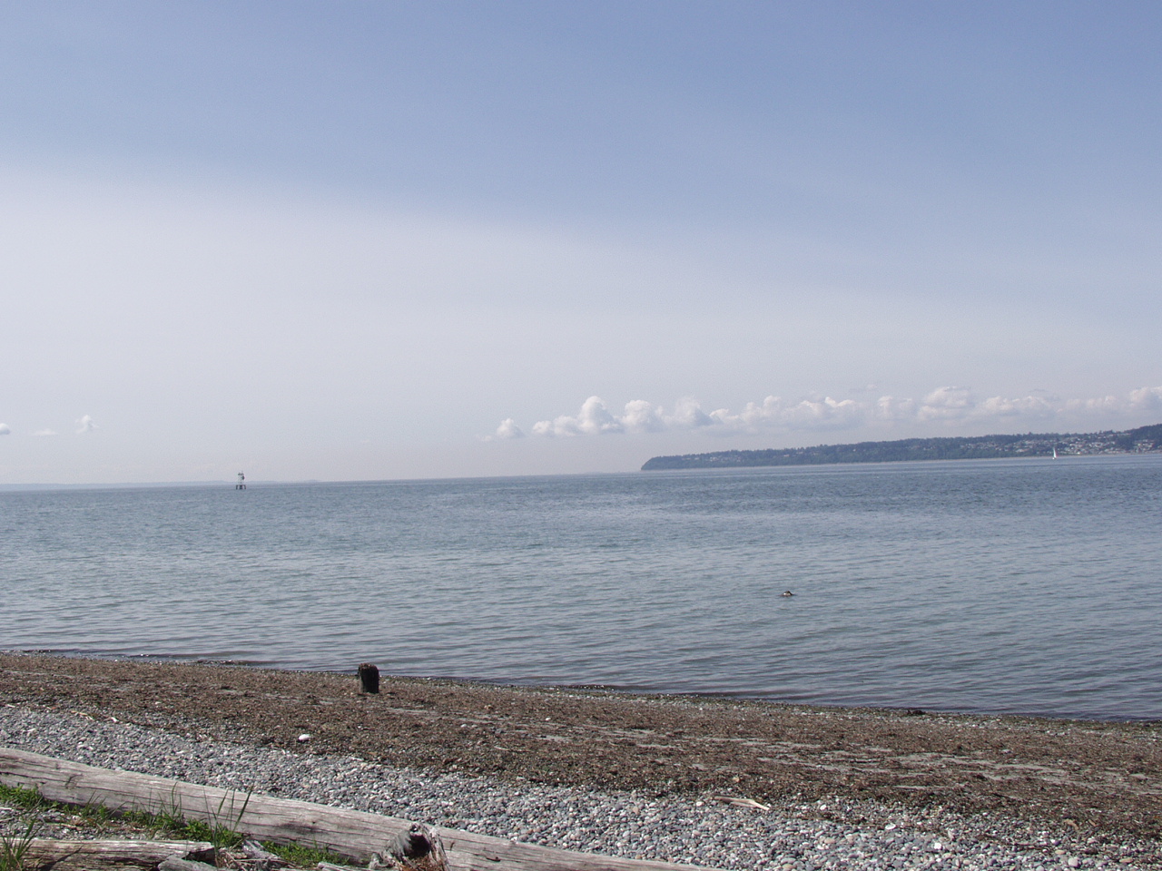 P4110891.JPG