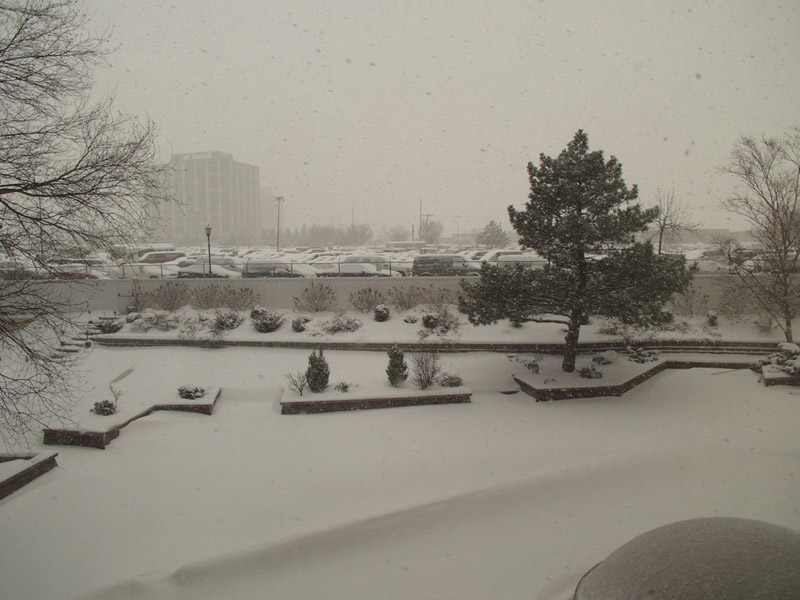 hilton-toronto-demo-snow.jpg
