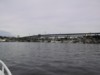 IMG_0692.JPG