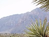 P3030468.JPG