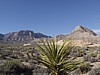 P3030503.JPG